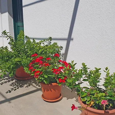 Apartament Gordana Ii *